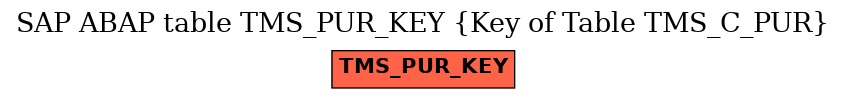 E-R Diagram for table TMS_PUR_KEY (Key of Table TMS_C_PUR)