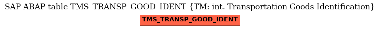 E-R Diagram for table TMS_TRANSP_GOOD_IDENT (TM: int. Transportation Goods Identification)