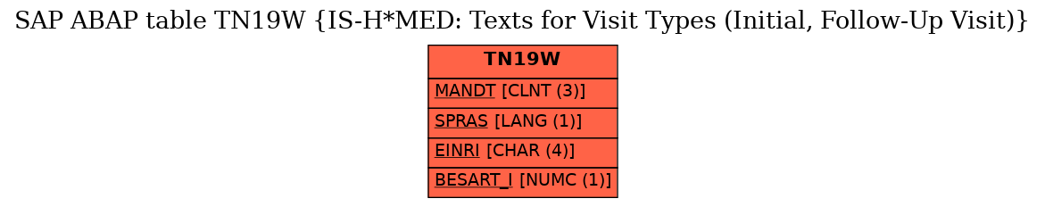 E-R Diagram for table TN19W (IS-H*MED: Texts for Visit Types (Initial, Follow-Up Visit))