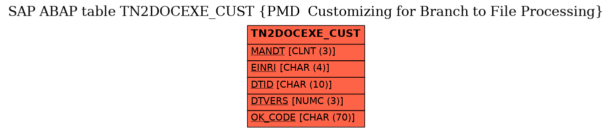 E-R Diagram for table TN2DOCEXE_CUST (PMD  Customizing for Branch to File Processing)