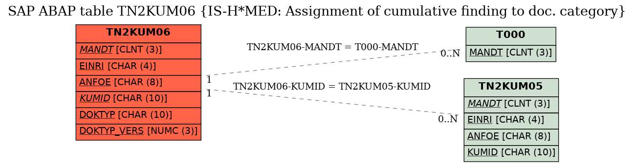 E-R Diagram for table TN2KUM06 (IS-H*MED: Assignment of cumulative finding to doc. category)