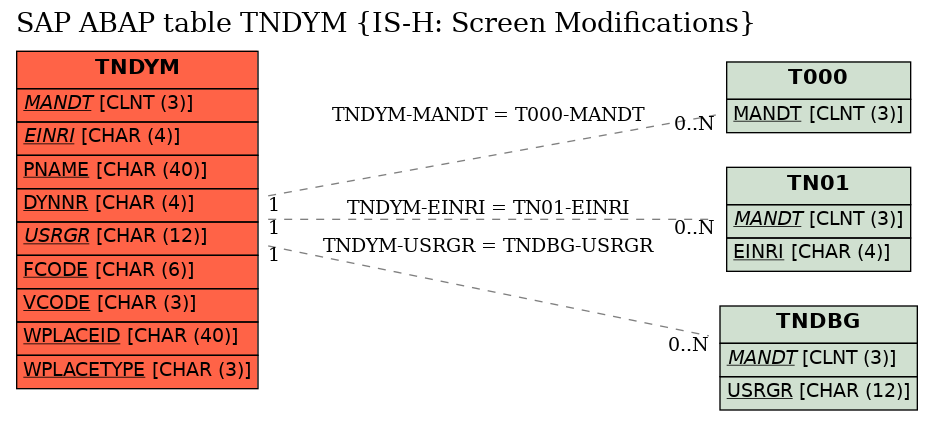 E-R Diagram for table TNDYM (IS-H: Screen Modifications)