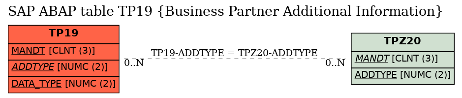 E-R Diagram for table TP19 (Business Partner Additional Information)