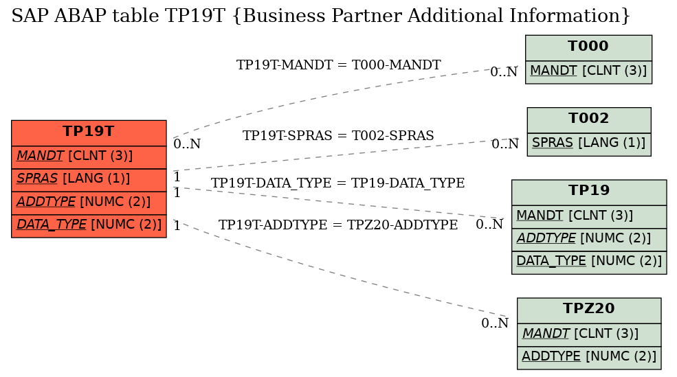 E-R Diagram for table TP19T (Business Partner Additional Information)