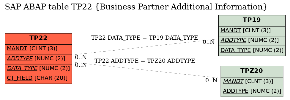 E-R Diagram for table TP22 (Business Partner Additional Information)