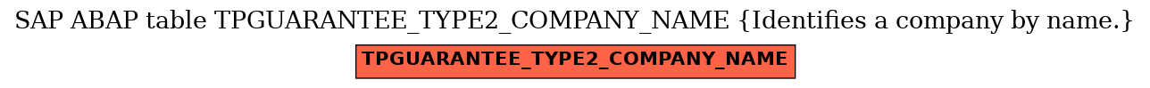 E-R Diagram for table TPGUARANTEE_TYPE2_COMPANY_NAME (Identifies a company by name.)