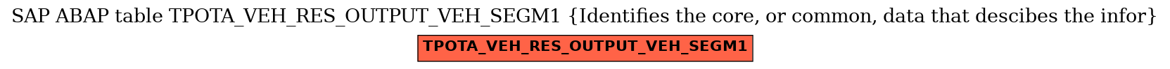 E-R Diagram for table TPOTA_VEH_RES_OUTPUT_VEH_SEGM1 (Identifies the core, or common, data that descibes the infor)