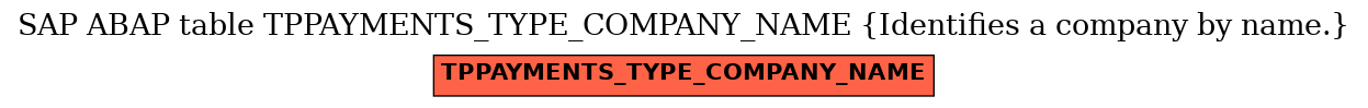 E-R Diagram for table TPPAYMENTS_TYPE_COMPANY_NAME (Identifies a company by name.)
