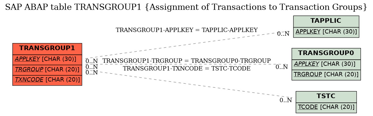 E-R Diagram for table TRANSGROUP1 (Assignment of Transactions to Transaction Groups)