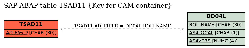 E-R Diagram for table TSAD11 (Key for CAM container)