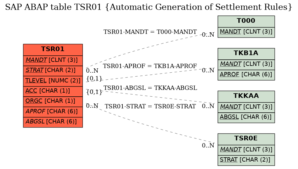 E-R Diagram for table TSR01 (Automatic Generation of Settlement Rules)