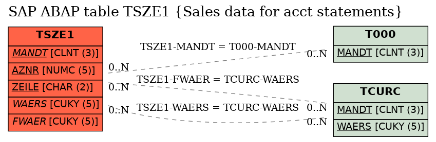 E-R Diagram for table TSZE1 (Sales data for acct statements)