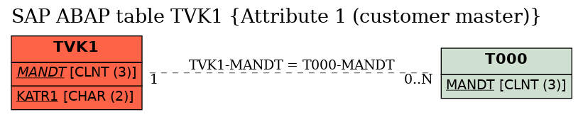 E-R Diagram for table TVK1 (Attribute 1 (customer master))