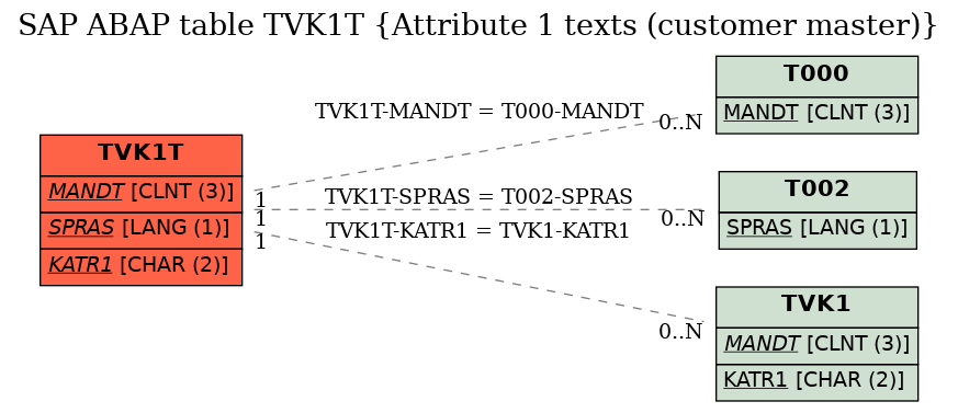 E-R Diagram for table TVK1T (Attribute 1 texts (customer master))