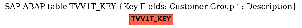 E-R Diagram for table TVV1T_KEY (Key Fields: Customer Group 1: Description)