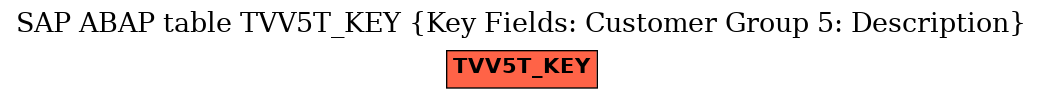 E-R Diagram for table TVV5T_KEY (Key Fields: Customer Group 5: Description)