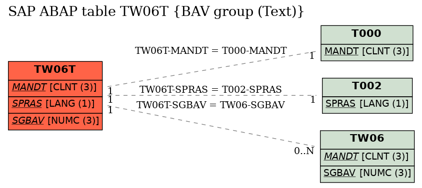 E-R Diagram for table TW06T (BAV group (Text))