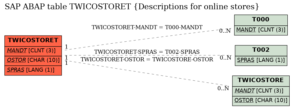 E-R Diagram for table TWICOSTORET (Descriptions for online stores)