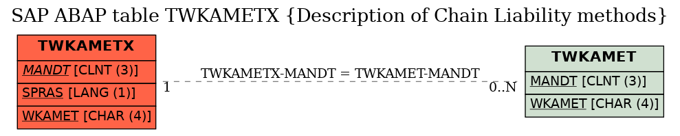 E-R Diagram for table TWKAMETX (Description of Chain Liability methods)