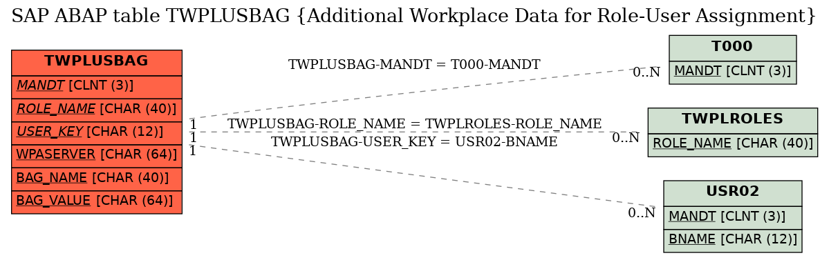 E-R Diagram for table TWPLUSBAG (Additional Workplace Data for Role-User Assignment)