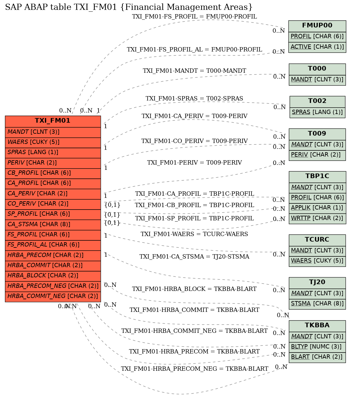 E-R Diagram for table TXI_FM01 (Financial Management Areas)