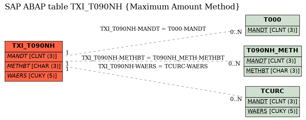 E-R Diagram for table TXI_T090NH (Maximum Amount Method)