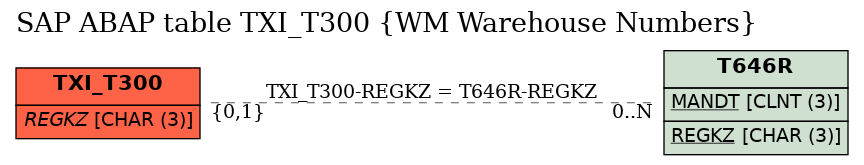 E-R Diagram for table TXI_T300 (WM Warehouse Numbers)