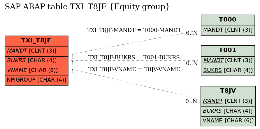 E-R Diagram for table TXI_T8JF (Equity group)