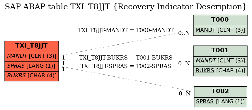E-R Diagram for table TXI_T8JJT (Recovery Indicator Description)