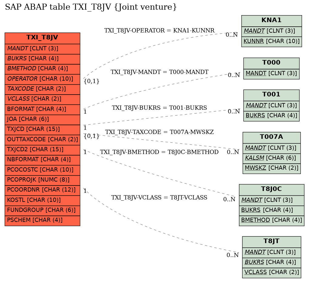 E-R Diagram for table TXI_T8JV (Joint venture)