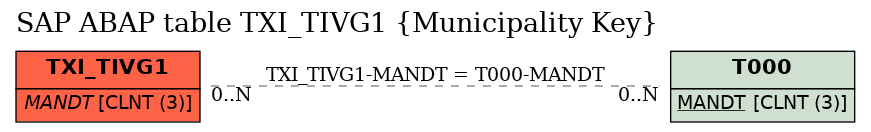 E-R Diagram for table TXI_TIVG1 (Municipality Key)