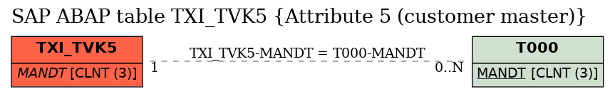 E-R Diagram for table TXI_TVK5 (Attribute 5 (customer master))