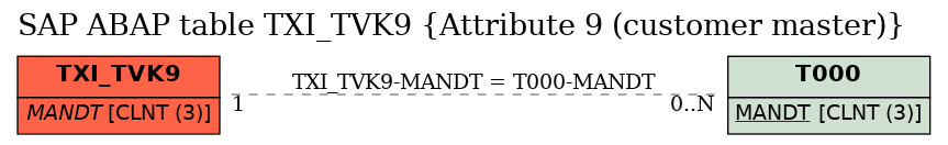 E-R Diagram for table TXI_TVK9 (Attribute 9 (customer master))