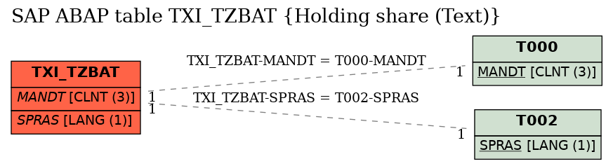 E-R Diagram for table TXI_TZBAT (Holding share (Text))
