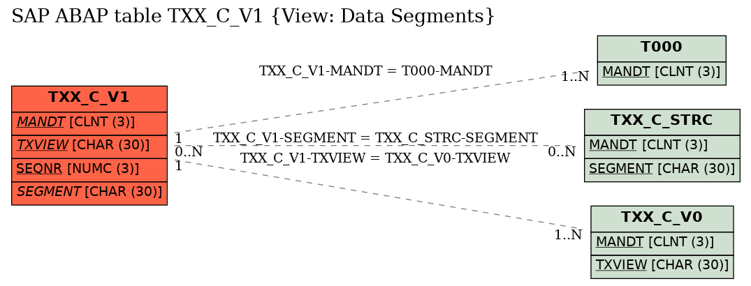 E-R Diagram for table TXX_C_V1 (View: Data Segments)