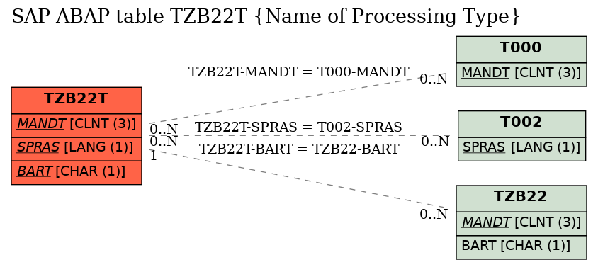 E-R Diagram for table TZB22T (Name of Processing Type)