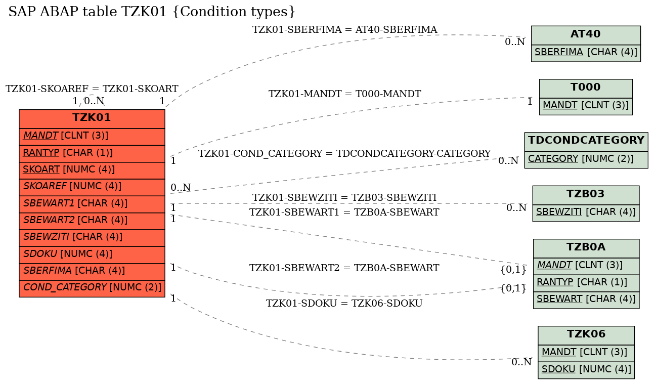 E-R Diagram for table TZK01 (Condition types)