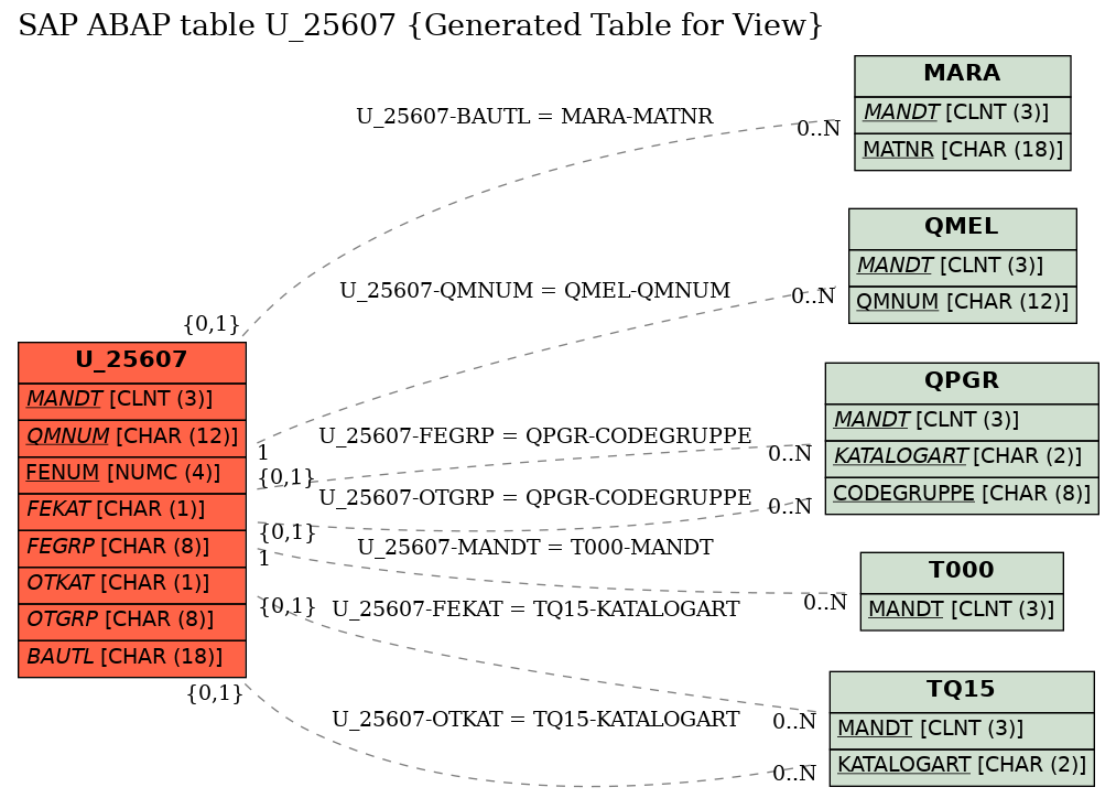 E-R Diagram for table U_25607 (Generated Table for View)