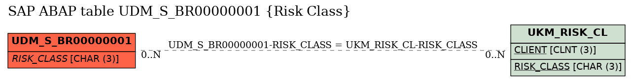 E-R Diagram for table UDM_S_BR00000001 (Risk Class)