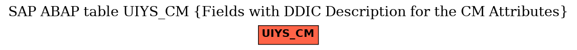 E-R Diagram for table UIYS_CM (Fields with DDIC Description for the CM Attributes)