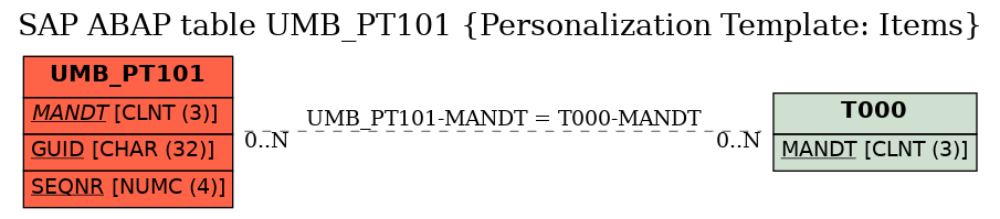 E-R Diagram for table UMB_PT101 (Personalization Template: Items)