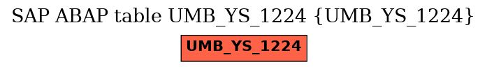 E-R Diagram for table UMB_YS_1224 (UMB_YS_1224)