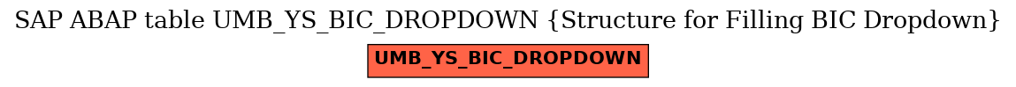 E-R Diagram for table UMB_YS_BIC_DROPDOWN (Structure for Filling BIC Dropdown)