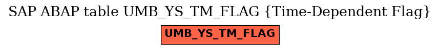 E-R Diagram for table UMB_YS_TM_FLAG (Time-Dependent Flag)