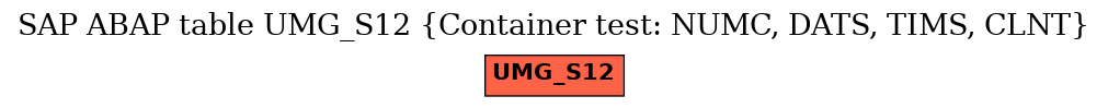 E-R Diagram for table UMG_S12 (Container test: NUMC, DATS, TIMS, CLNT)