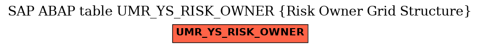 E-R Diagram for table UMR_YS_RISK_OWNER (Risk Owner Grid Structure)