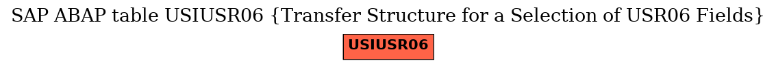 E-R Diagram for table USIUSR06 (Transfer Structure for a Selection of USR06 Fields)