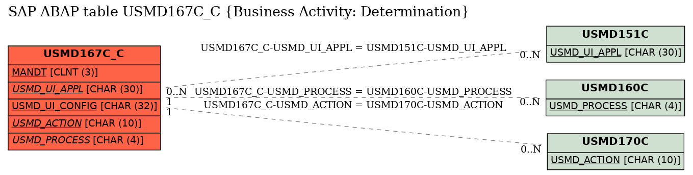 E-R Diagram for table USMD167C_C (Business Activity: Determination)