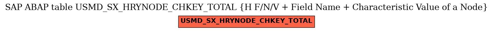 E-R Diagram for table USMD_SX_HRYNODE_CHKEY_TOTAL (H F/N/V + Field Name + Characteristic Value of a Node)