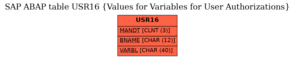 E-R Diagram for table USR16 (Values for Variables for User Authorizations)